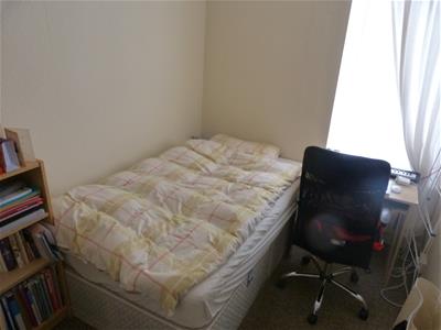 Picture 5
